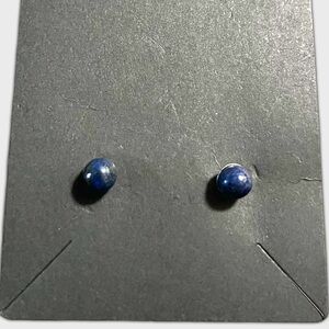 Small Lapis Lazuli earrings Reiki optional NWT